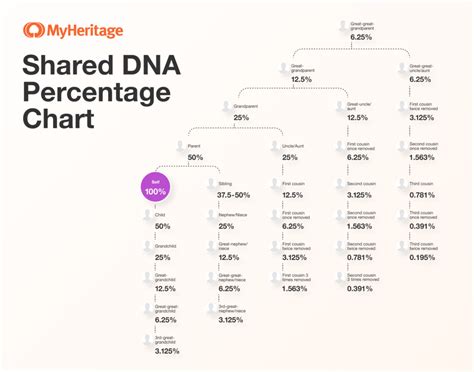 DNA Relationship Calculator & What Your Shared DNA Results Mean.